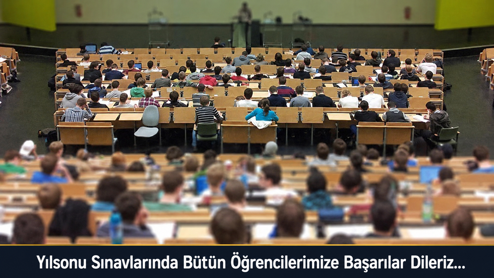  foto_seo_hali